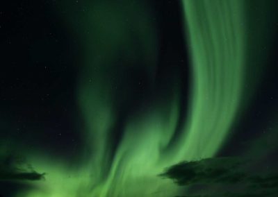 two people looking up at the Aurora Borealis