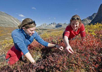 two person looking at wild flowers